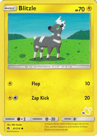 Blitzle (#19 Pikachu Stamped)/214 Battle Academy - Promo