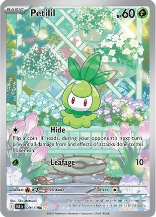 Petilil - 091/086 - Holofoil SV Black Bolt - Illustration Rare