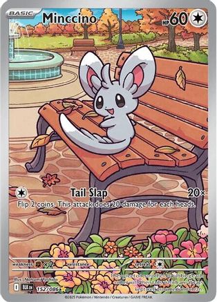 Minccino - 152/086 - Holofoil SV Black Bolt - Illustration Rare