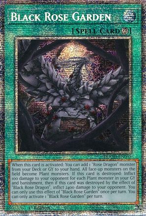 Black Rose Garden (Starlight Rare) (DOOD-EN055) - Doom of Dimensions 1st Edition
