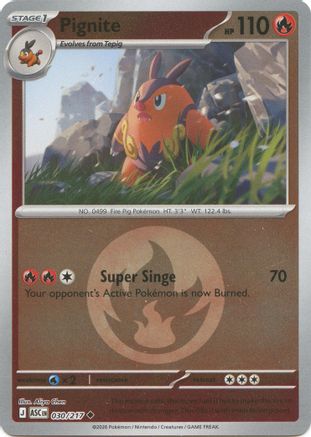 Pignite (Energy Symbol Pattern) 030/217  - Reverse Holofoil ME Ascended Heroes - Uncommon